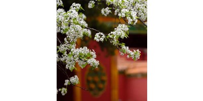 【展會資訊】臺群精機(jī)5月展會一覽，等您來參觀！